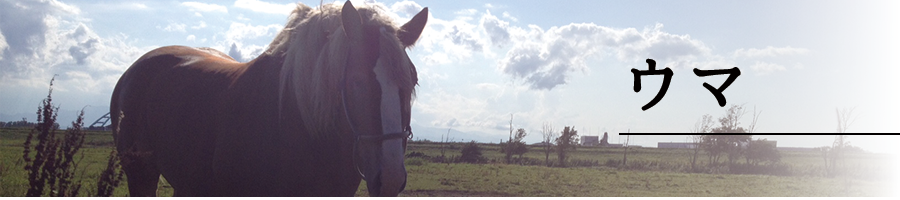 specification_main_horse00