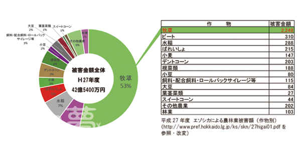 意外と知られていない エゾシカの牧草被害 ファームエイジ株式会社 電気柵を用いた放牧 野生動物対策で持続可能な未来へ