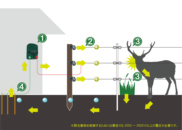 電気柵 電気さく 電牧柵 とは ファームエイジ株式会社 電気柵を用いた放牧 野生動物対策で持続可能な未来へ