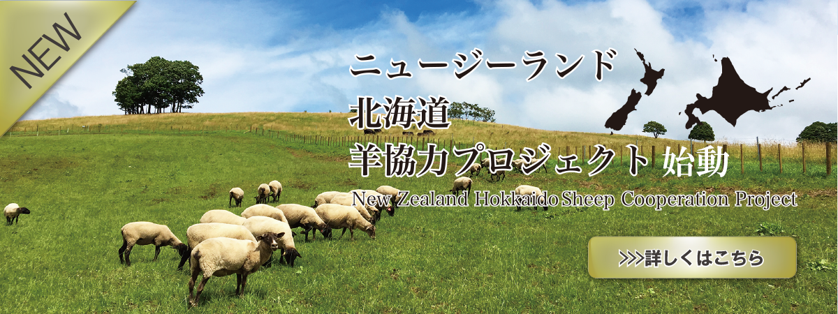 ニュージーランド 北海道羊協力プロジェクト 始動 ファームエイジ株式会社 電気柵を用いた放牧 野生動物対策で持続可能な未来へ