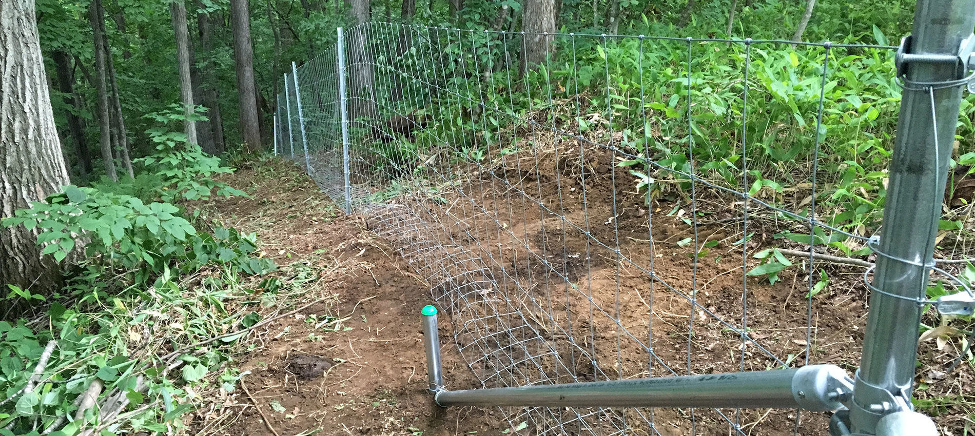 ファームエイジ株式会社 電気柵を用いた放牧 野生動物対策で持続可能な未来へ ファームエイジ株式会社 電気柵 を用いた放牧 野生動物対策で持続可能な未来へ