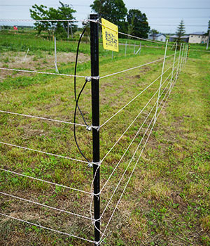 サル 猿 電気柵 フェンス ファームエイジ株式会社 電気柵を用いた放牧 野生動物対策で持続可能な未来へ