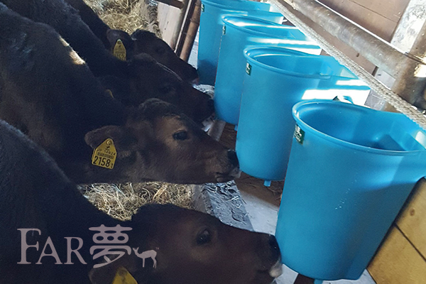 ハンギングミルクを使って 和牛農家様