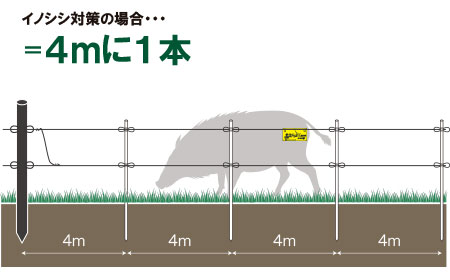 支柱の間隔 M 電気柵 フィールドフェンス ファームエイジ株式会社 電気柵を用いた放牧 野生動物対策で持続可能な未来へ 支柱の間隔 M 電気柵 フィールドフェンス ファームエイジ株式会社 電気柵を用いた放牧 野生動物対策で持続可能な未来へ